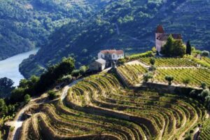 Pioneers of Port: Legendary People and Wines – 11th Sept 25 – 10% Off